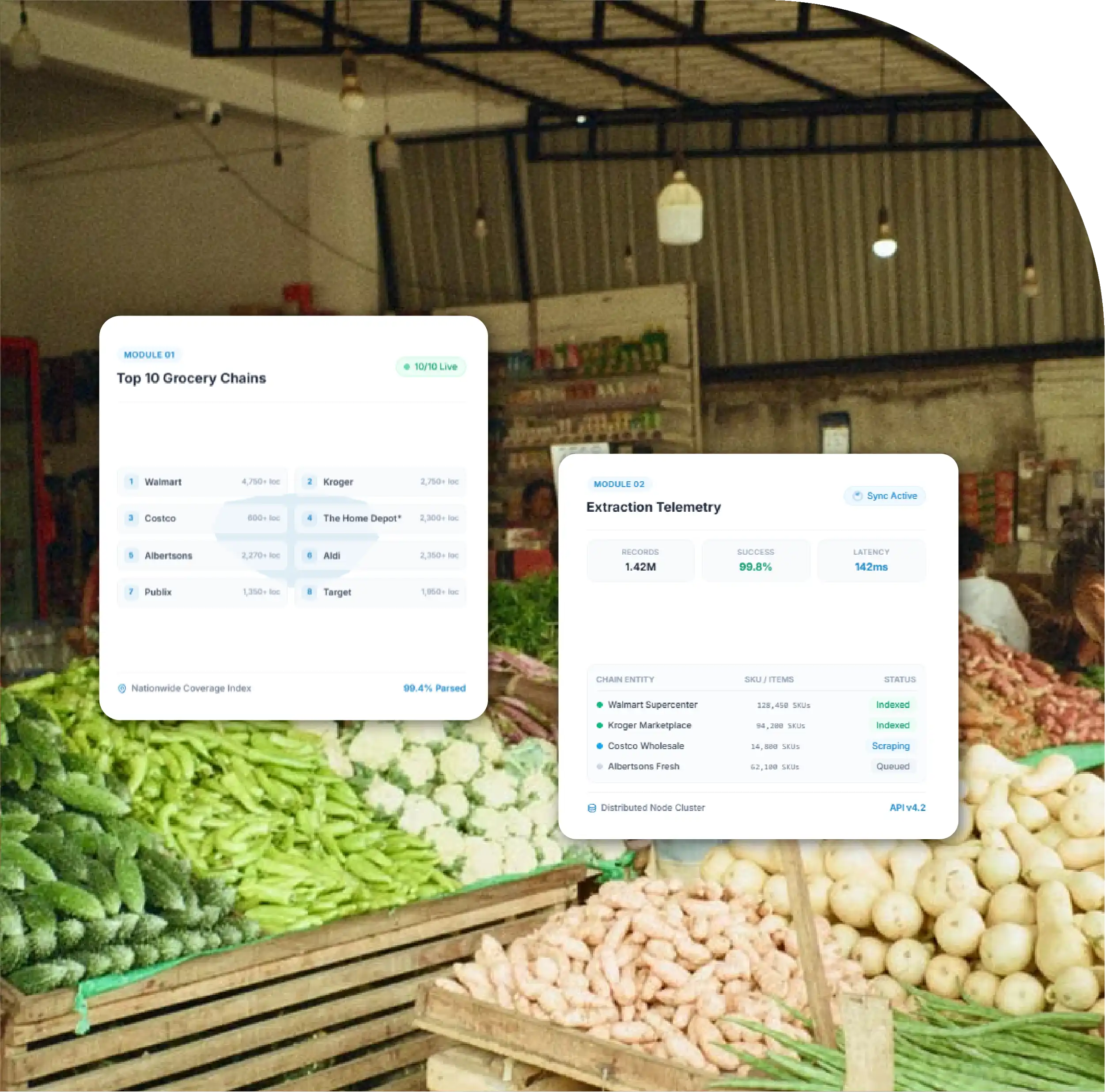 Report Overview